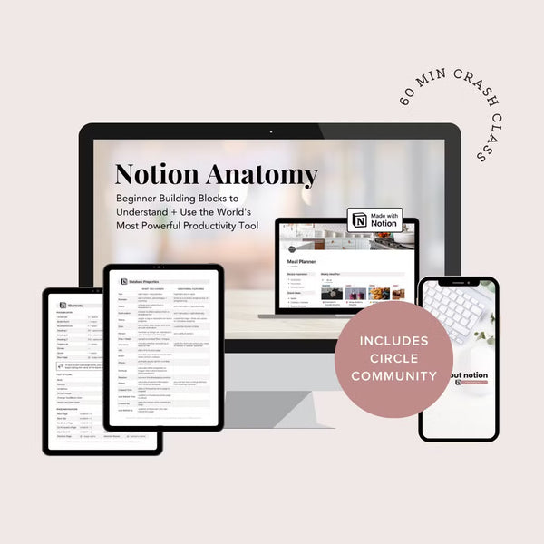 Notion Anatomy: Beginner Building Blocks